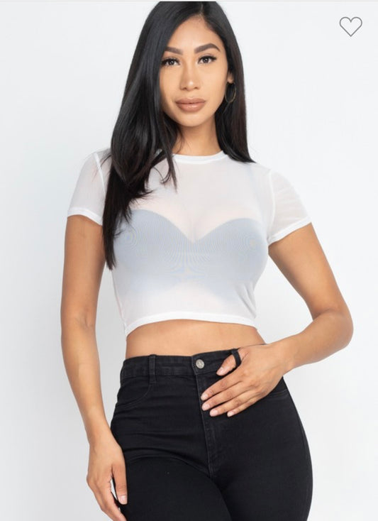 Sheer Mesh Top