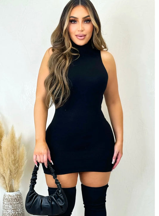 Sleeveless Turtle neck dress