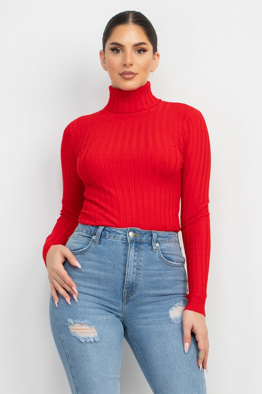 Knit ribbed turtle neck